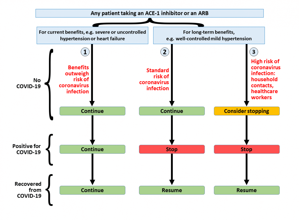talento embrague Dentro Angiotensin converting enzyme (ACE) inhibitors and angiotensin receptor  blockers in COVID-19 - The Centre for Evidence-Based Medicine